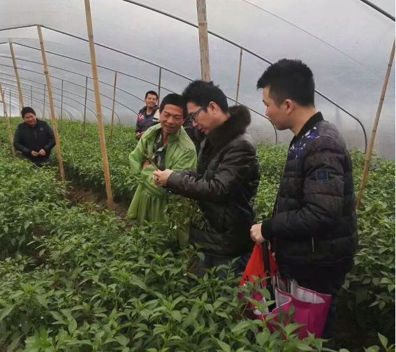 農(nóng)化部召開(kāi)福帥得防治豇豆莖基腐農(nóng)民會(huì)