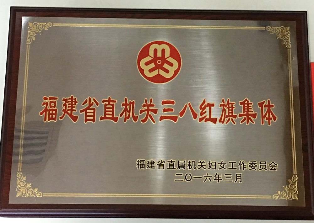 集團(tuán)公司財(cái)會部榮獲三八紅旗集體稱號