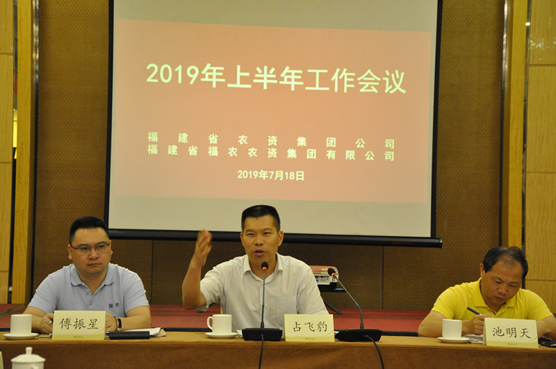 集團公司召開2019年上半年工作會議