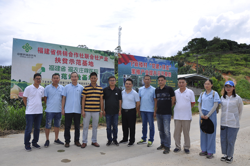 集團(tuán)公司領(lǐng)導(dǎo)班子深入基層開展主題教育專題調(diào)研