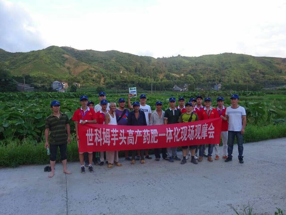 集團(tuán)公司農(nóng)化部開展了“藥肥一體化”現(xiàn)場觀摩會(huì)