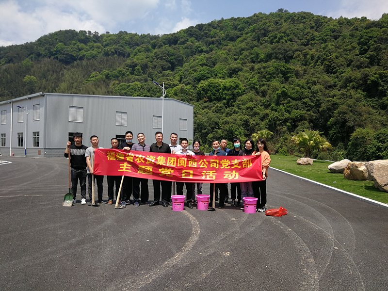 閩西公司開展義務(wù)植樹主題黨日活動(dòng)