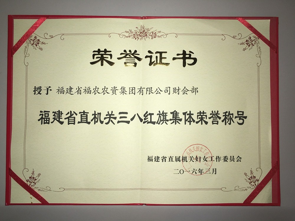 集團(tuán)公司財(cái)會部榮獲三八紅旗集體稱號