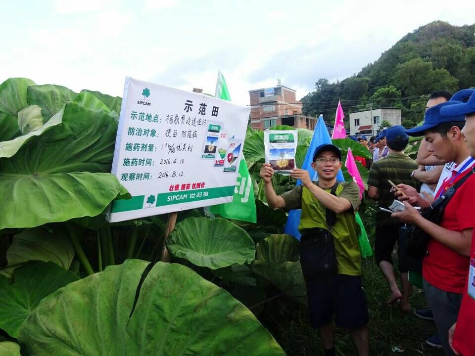 集團(tuán)公司農(nóng)化部開展了“藥肥一體化”現(xiàn)場觀摩會(huì)