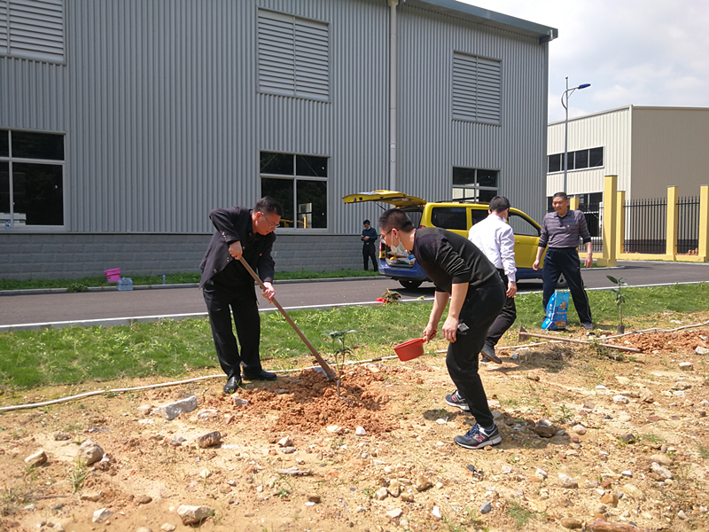 閩西公司開展義務(wù)植樹主題黨日活動(dòng)