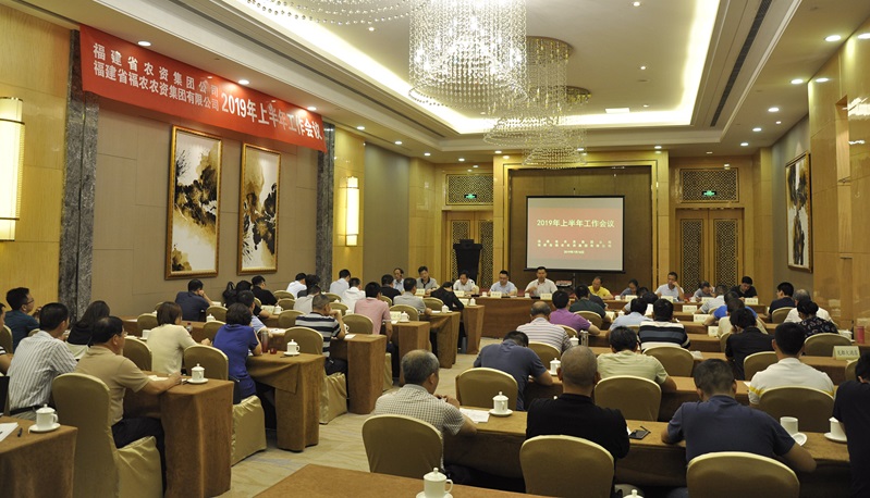 集團公司召開2019年上半年工作會議