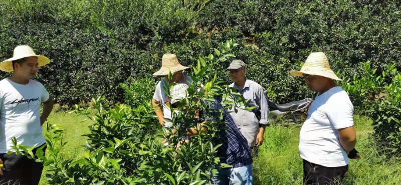 三明易農公司舉辦新型農民科學安全用藥培訓