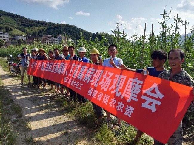 農(nóng)化部在建甌召開(kāi)福帥得防治豇豆莖基腐病現(xiàn)場(chǎng)觀摩會(huì)