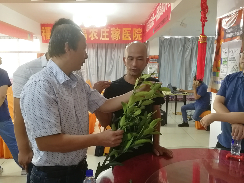 省福農(nóng)莊稼醫(yī)院在永安洪田鎮(zhèn)舉辦蜜桔施肥管理科技講座