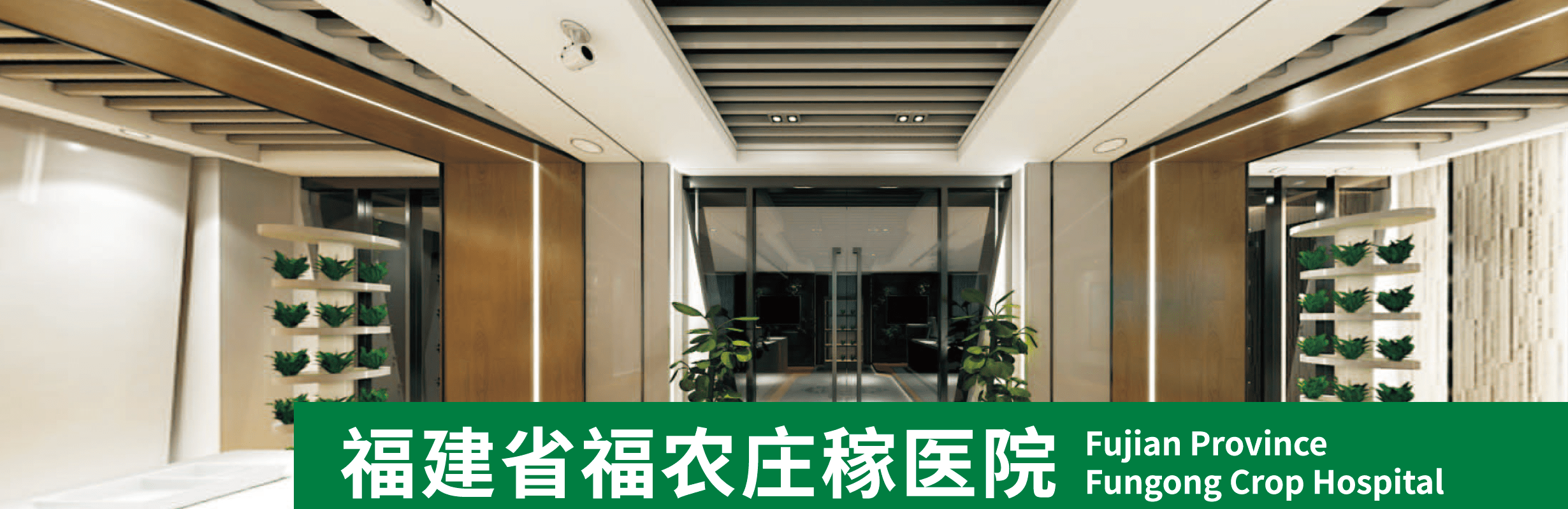 莊稼醫(yī)院簡介