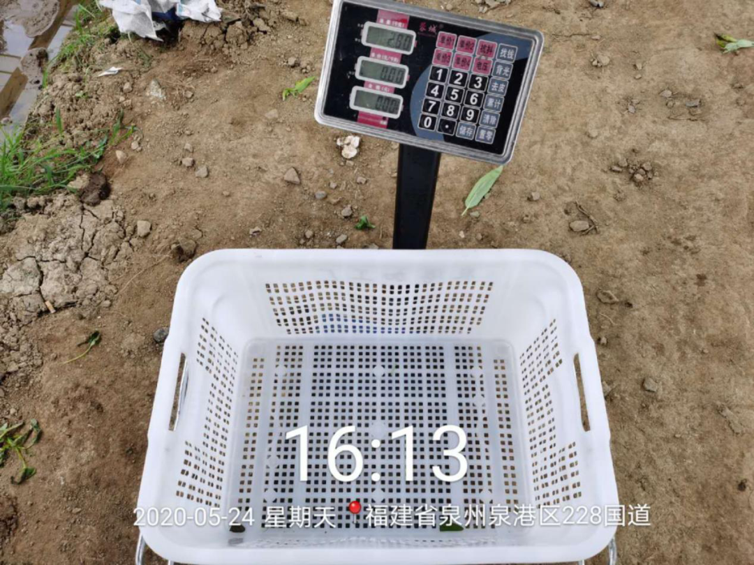 020年沃美克土壤調(diào)理劑示范試驗(yàn)報(bào)告"