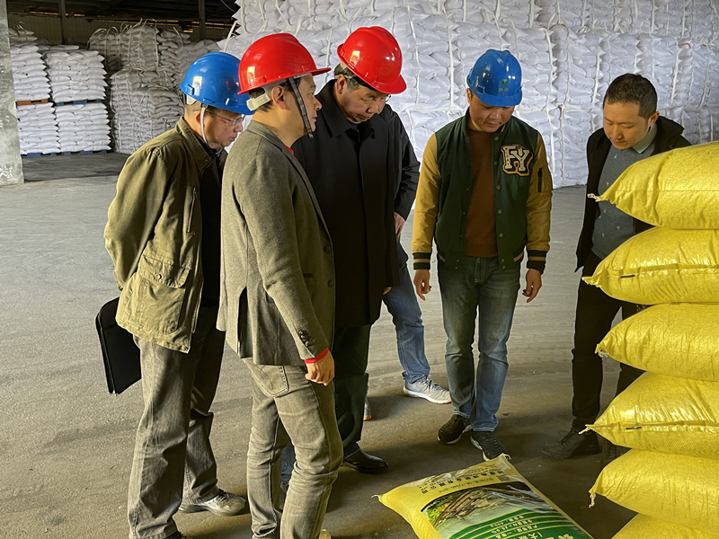 省社二級巡視員王玉明到龍得寶和鑫源肥業(yè)公司調(diào)研指導(dǎo)工作