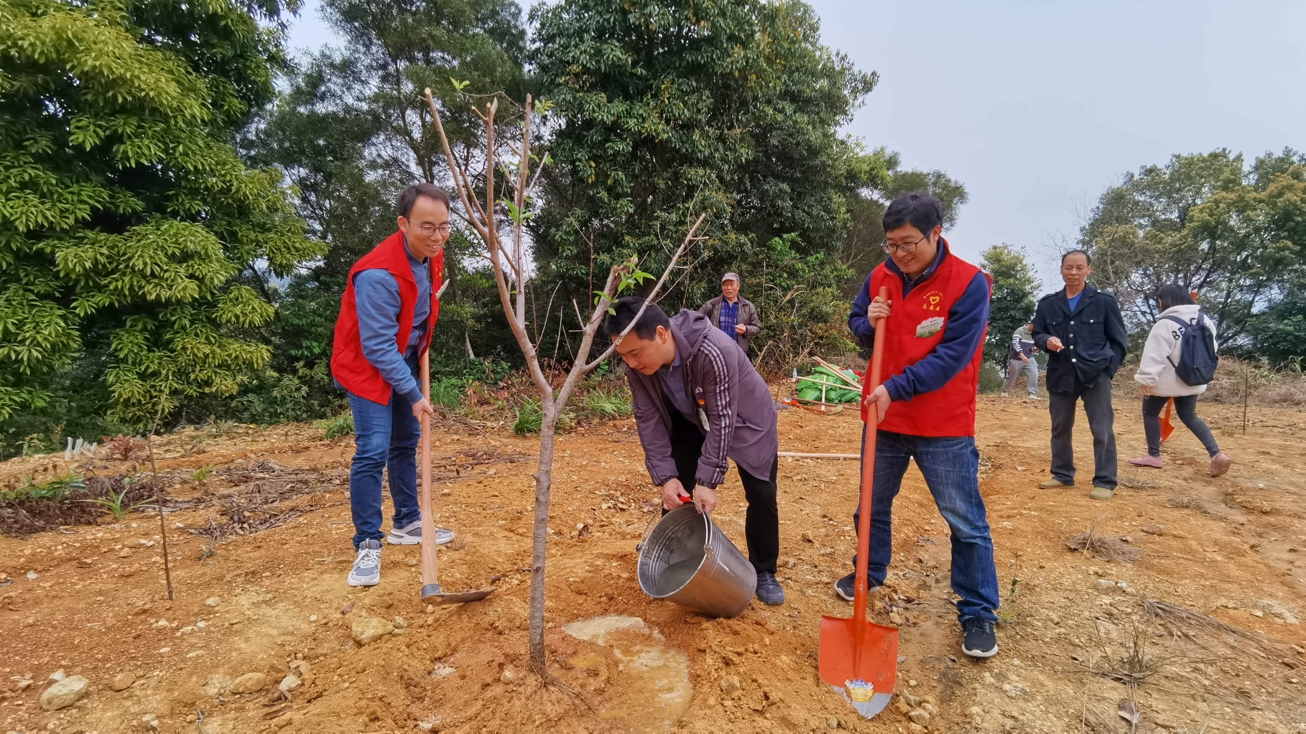 種下綠色  共享藍天-集團公司攜手中信銀行開展義務(wù)植樹共建活動