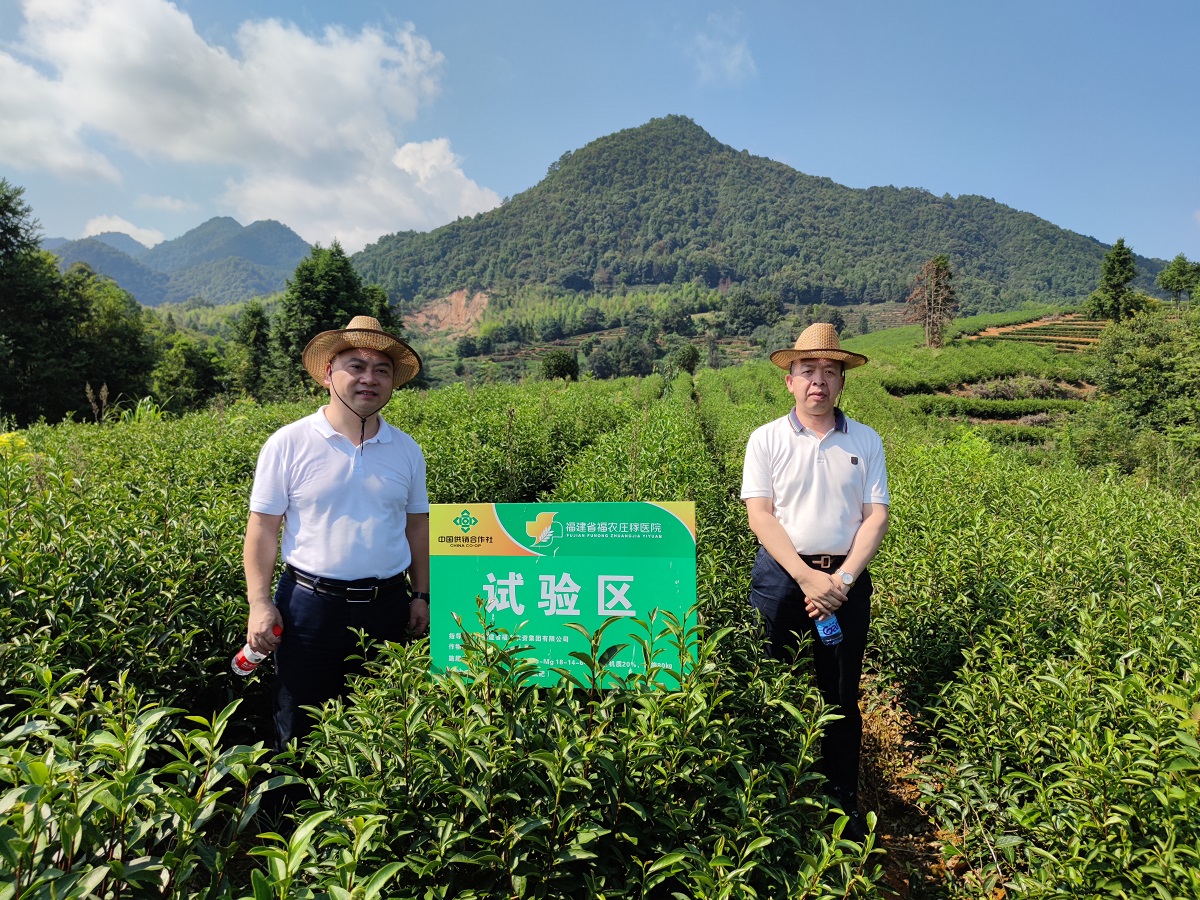 省供銷社副主任邱志向深入南平開展農(nóng)資專題調(diào)研