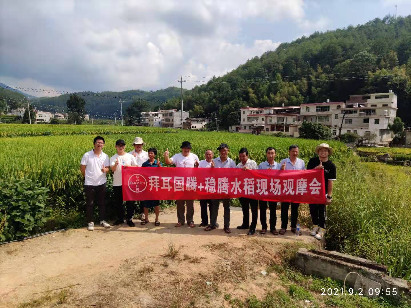 閩西公司組織開展拜耳產(chǎn)品水稻現(xiàn)場觀摩會