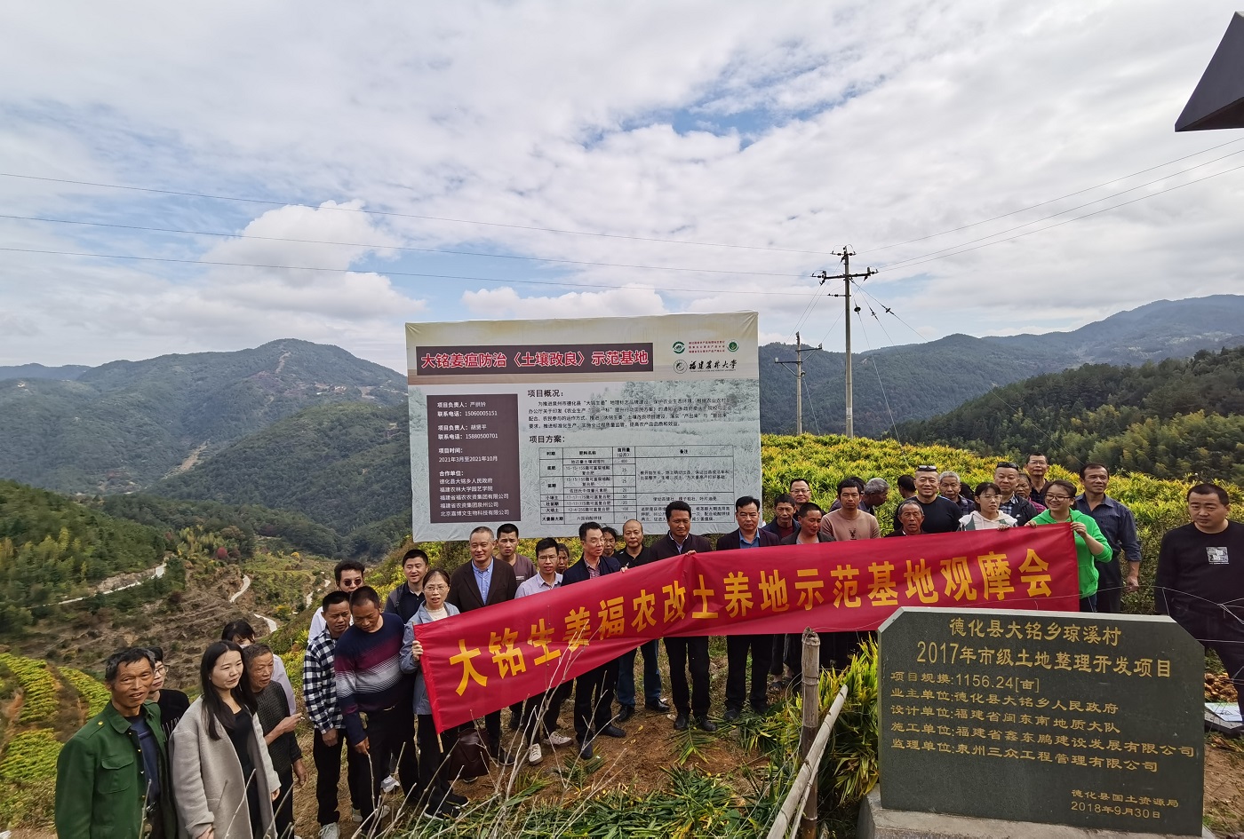 集團公司在泉州德化舉辦改土養(yǎng)地示范基地觀摩會