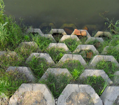 集團(tuán)公司黨委書記、董事長吳基好赴武夷新區(qū)永富農(nóng)業(yè)考察調(diào)研