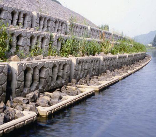 集團(tuán)公司黨委書記、董事長吳基好赴武夷新區(qū)永富農(nóng)業(yè)考察調(diào)研